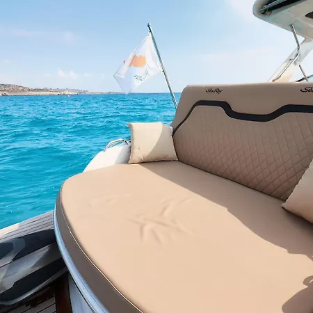 2 Hrs Private Cruise On Sea Ray 350 Slx